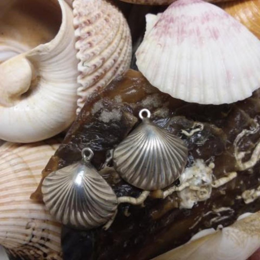 Sterling Silver Dangled Earrings